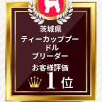 みんなのブリーダーで頂きました。