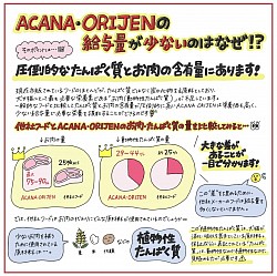 圧倒的タンパク質量