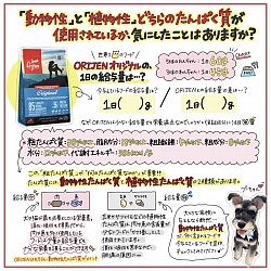 フードの１日量