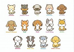 3袋以上のご注文でしたら当犬舎より直接ご注文いただけます。